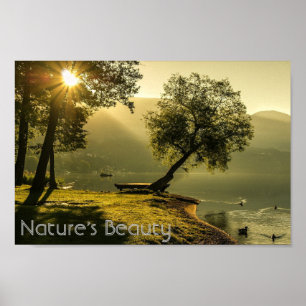 Poster A beleza da natureza   Tranquilidade pacífica na n