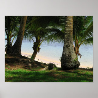 Poster A Beleza de Guam