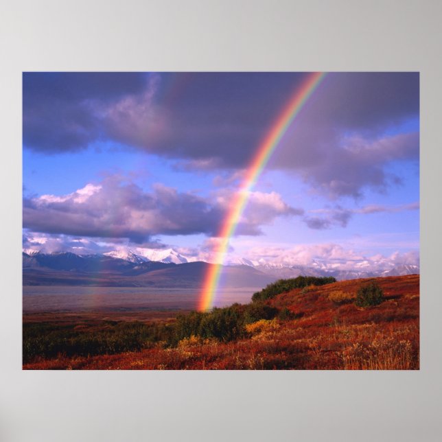 Pôster A beleza do arco-íris (Frente)