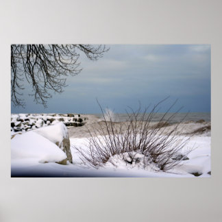 Poster A beleza do inverno