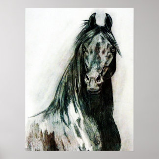 Pôster A Beleza Escura