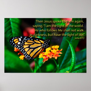 Poster A bíblia da borboleta cita provérbios inspirados