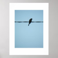 A Bird/Poster