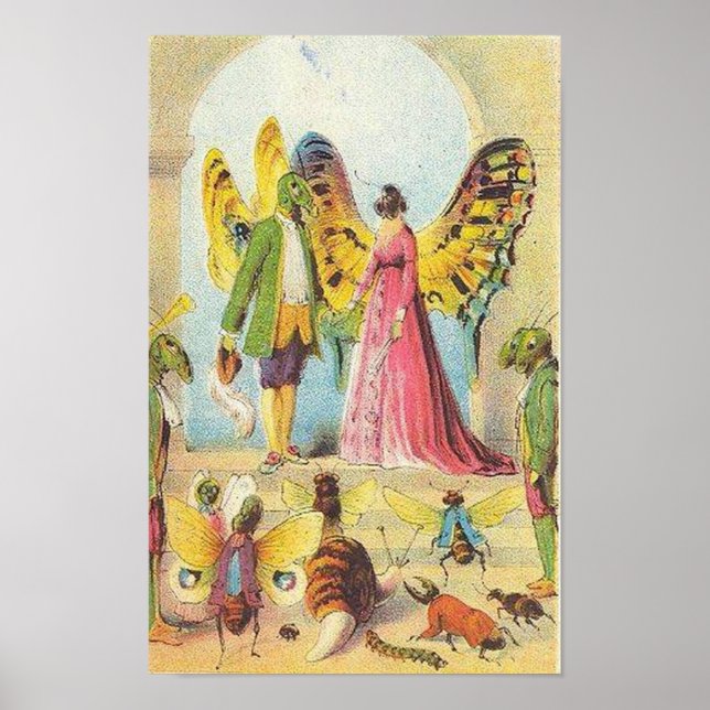 Pôster A Bola da Borboleta (Frente)