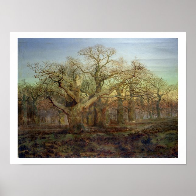 Pôster A Borda da Floresta Sherwood, 1878 (Frente)