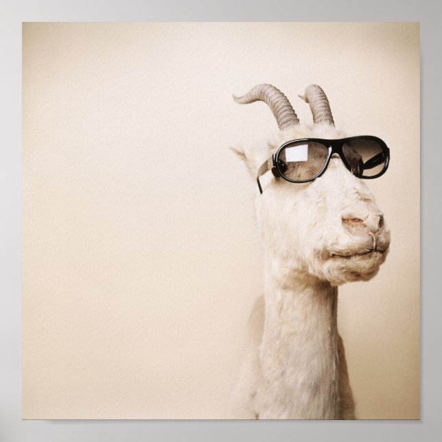 Poster A cabra (Frente)