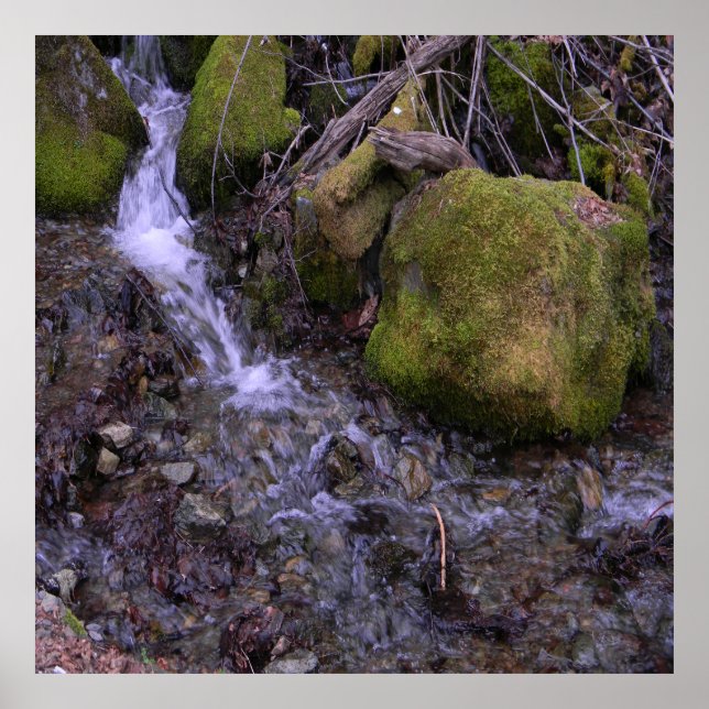 Poster A cachoeira do Fae...... (Frente)