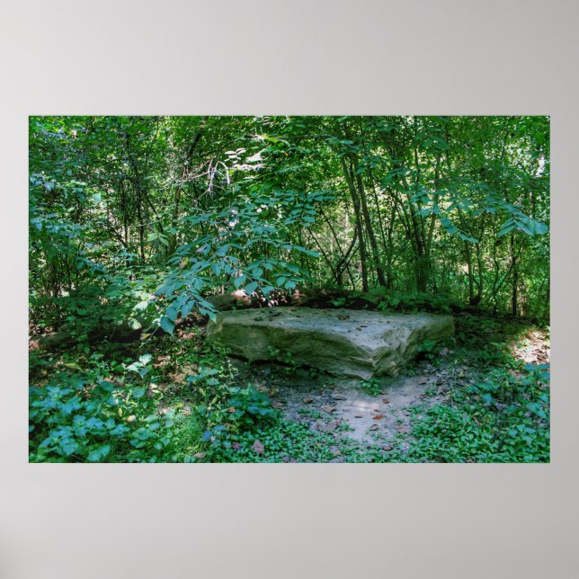 Poster A Cama da Pedra (Frente)