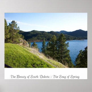 Poster A canção da Primavera