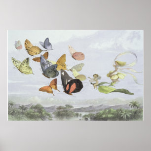 Poster A Carruagem da Rainha Fada   Elf World