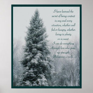 Pôster A cena cristã secreta do inverno