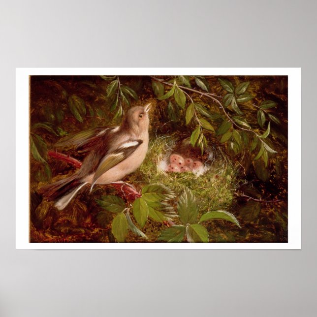Poster A Chaffinch at its Nest, 1877 (óleo no painel) (Frente)