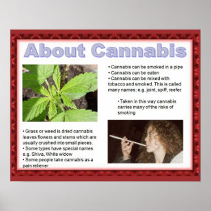 Pôster A cidadania, habilidades da vida apenas diz não!