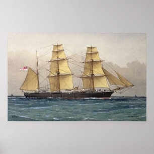 Pôster A Cisne selvagem, 1906