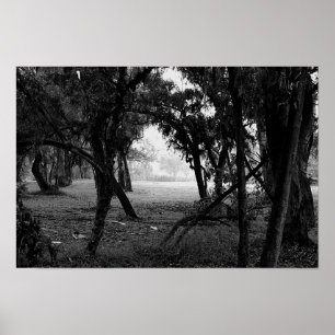 Poster A Clareira - Floresta em Preto e Branco