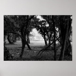 Poster A Clareira - Floresta em Preto e Branco