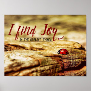 Poster A coisa mais simples