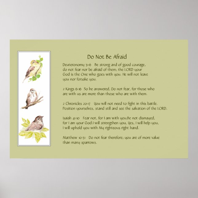 Pôster A Coleção Não Tem Medo Da Coragem De Escrituras (Frente)