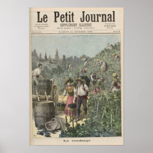 Pôster A colheita do vinho