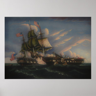 Poster A Constituição e a Guerreira (Versão Suave)