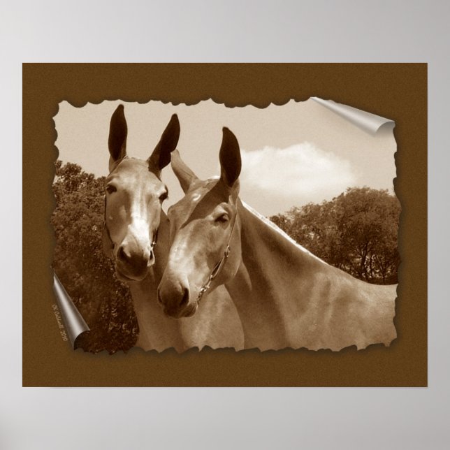 Poster A Conversa (Frente)