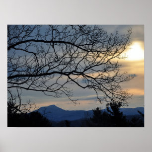 Poster A corcunda do camelo