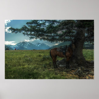 Pôster A Corrida de Barbra