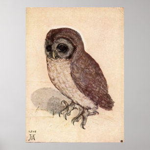 Pôster A coruja pequena por Albrecht Dürer