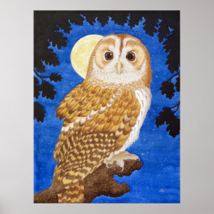 Poster A coruja Tawny