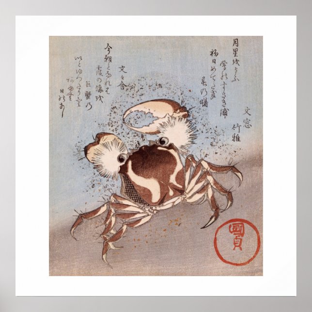 Pôster A Crab on the Seashore (Frente)