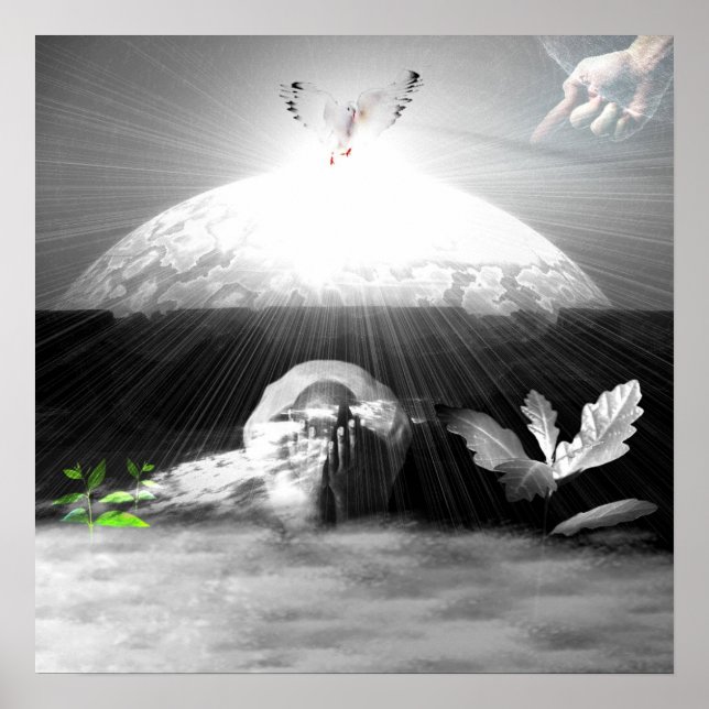 Pôster A Criação (Frente)