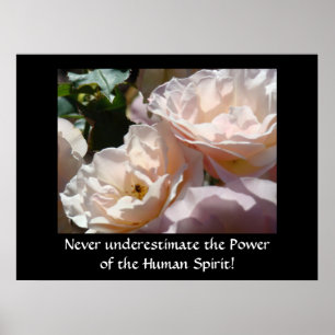 Pôster A cura nunca subestima o poder do