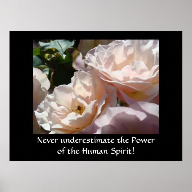 Pôster A cura nunca subestima o poder do (Frente)