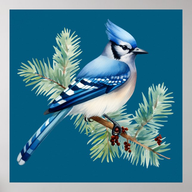 Poster A Cute Blue Jay  (Frente)