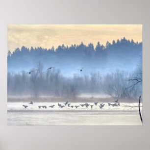 Pôster A dança do ducks1