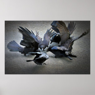 Poster A dança dos corvos