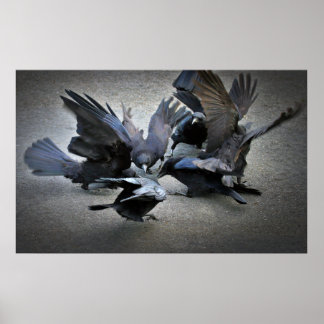 Poster A dança dos corvos