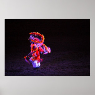 Pôster A dança extravagante