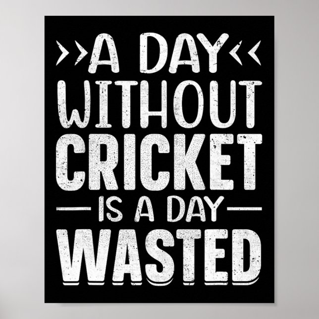 Poster A Day Without Cricket Funny Cricket Player Cricket (Frente)