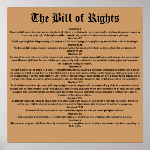 Pôster A Declaração de Direitos