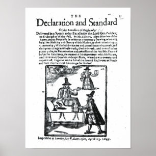 Pôster A Declaração e o Padrão dos Níveis