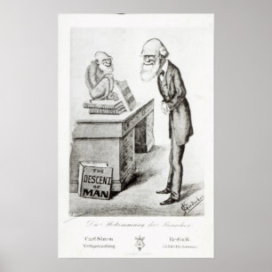 Pôster A Descida do Homem