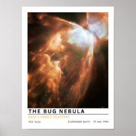 Poster A Educação Espacial da Nebulosa do Bug