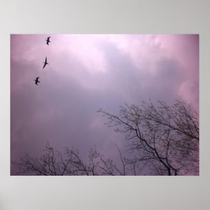 Pôster A elevação crescente é nossa natureza - céu da