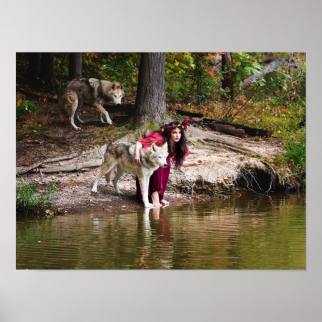 Pôster A embalagem (Frente)
