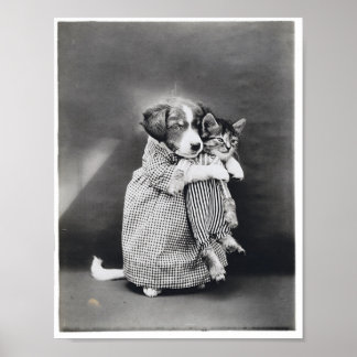 Poster A enfermeira Kitten Harry Whittier Frees 1914