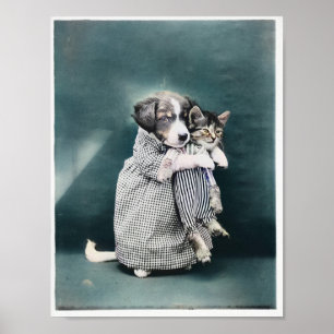 Poster A Enfermeira Que Cuidou Do Kitten 1914 Colorida