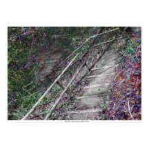 A Escada Superficial de Rowan Blair Colver