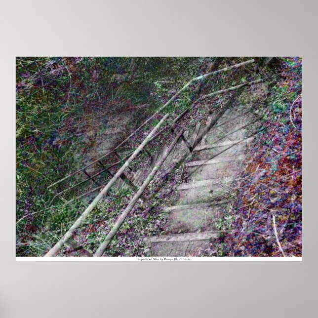 Pôster A Escada Superficial de Rowan Blair Colver (Frente)