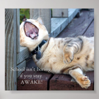 Poster A escola não é chata